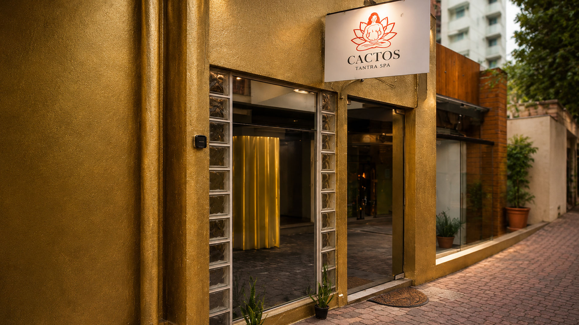 Cactos Massagem
